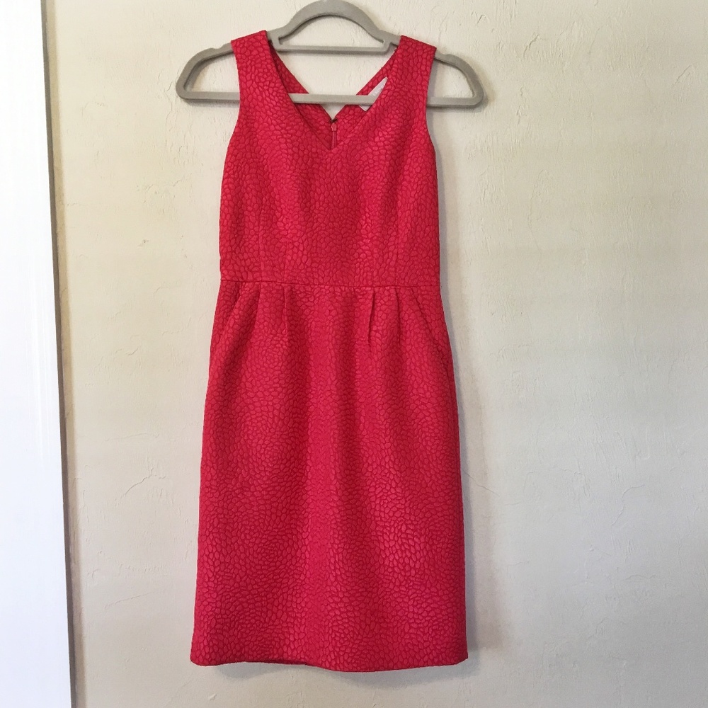 Banana Republic Pink Work Dress with Pockets